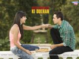 Mere Brother Ki Dulhan (2010)